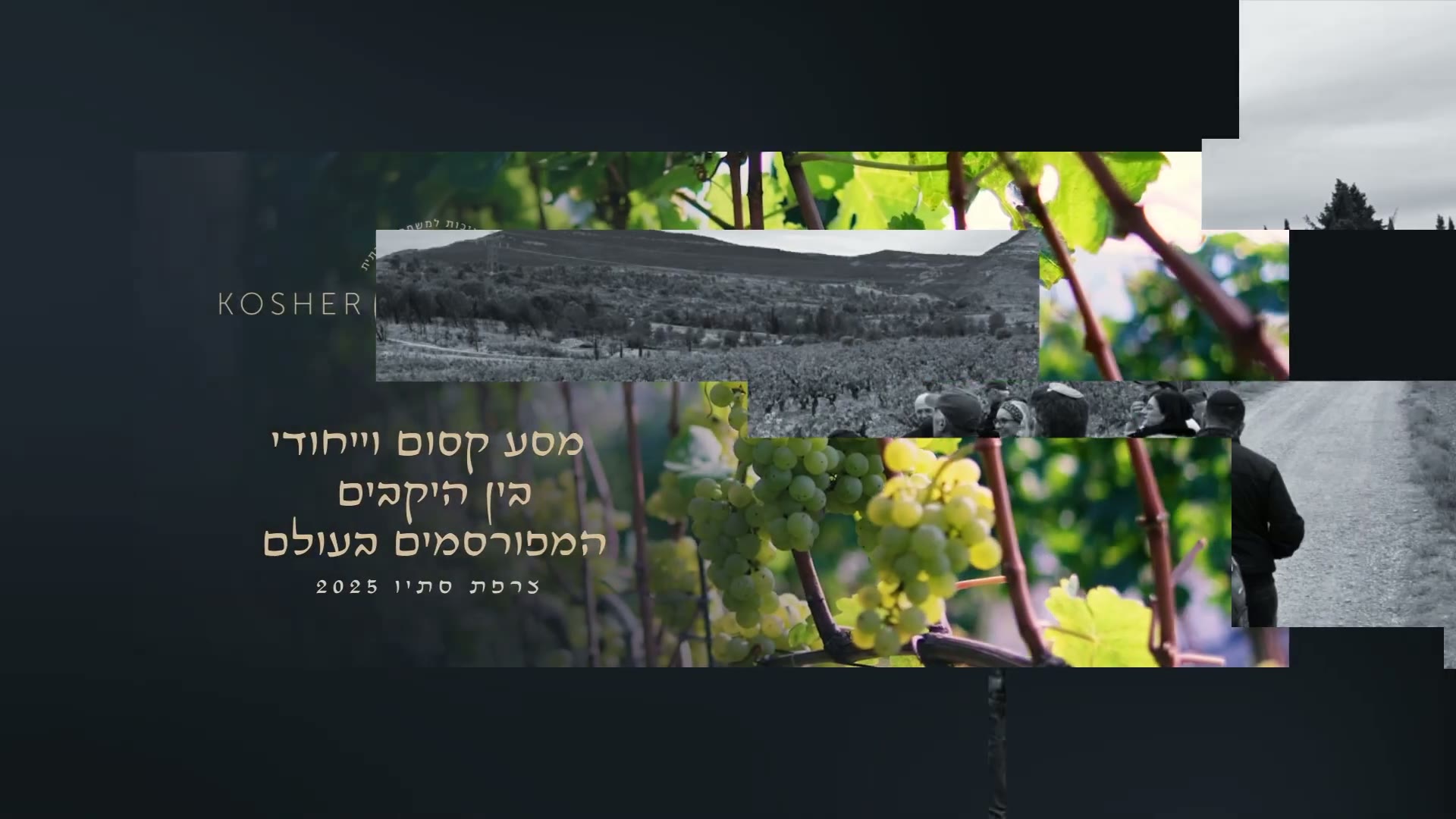 מסע יקבים בצרפת — סתיו 2025